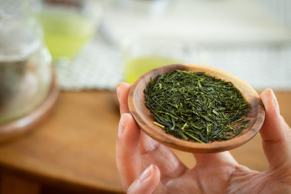 Aracha Shincha 2023 - Organic Japanese Green Tea