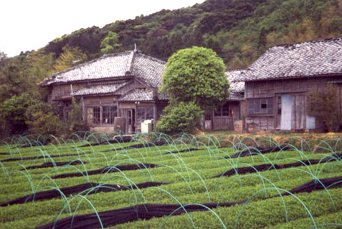 Die KEIKO Biofarm um 2003