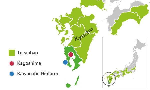 Tea growing areas