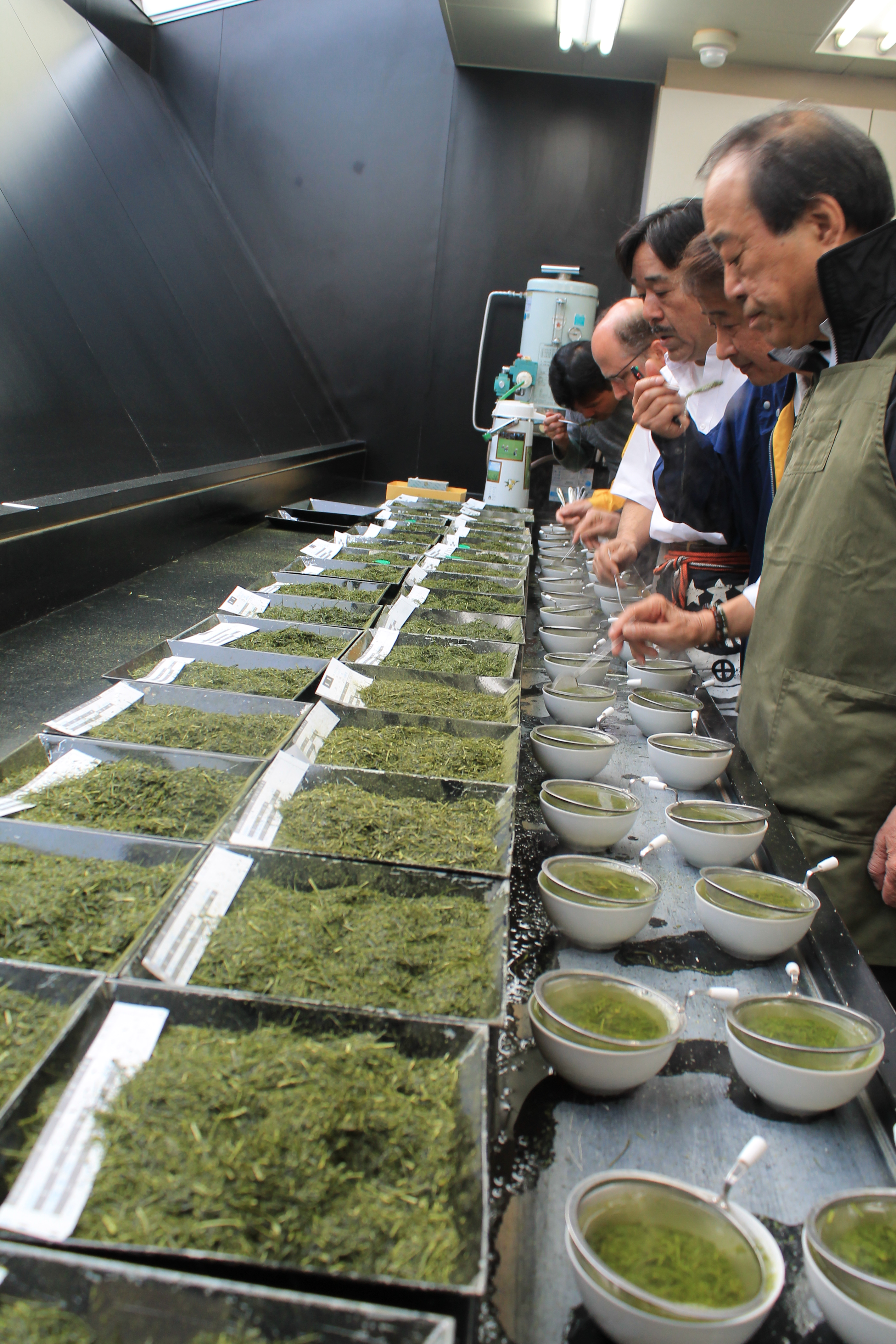 Tea Tasting bei Shimodozono in Japan