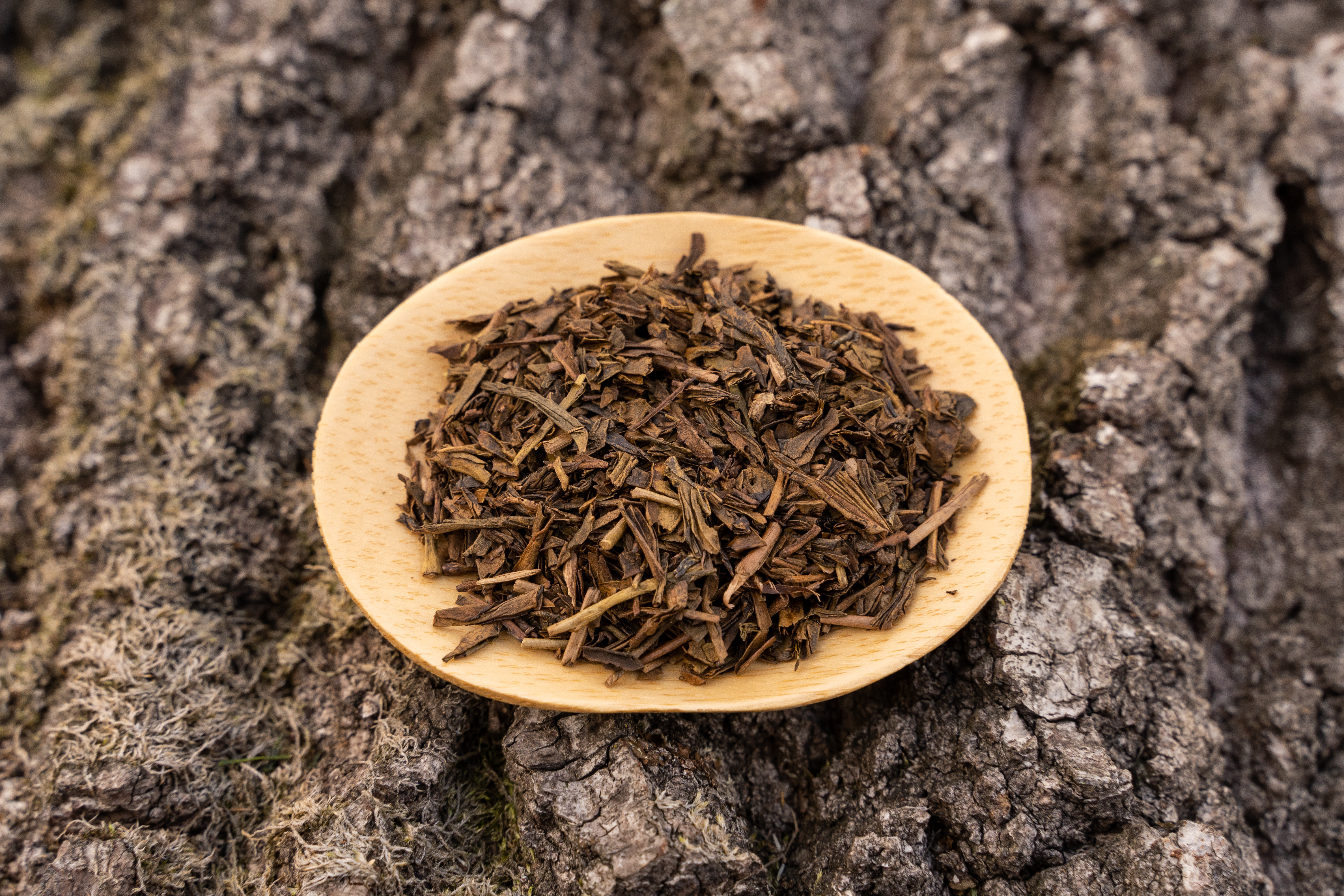 Hojicha - Organic Japanese Green Tea