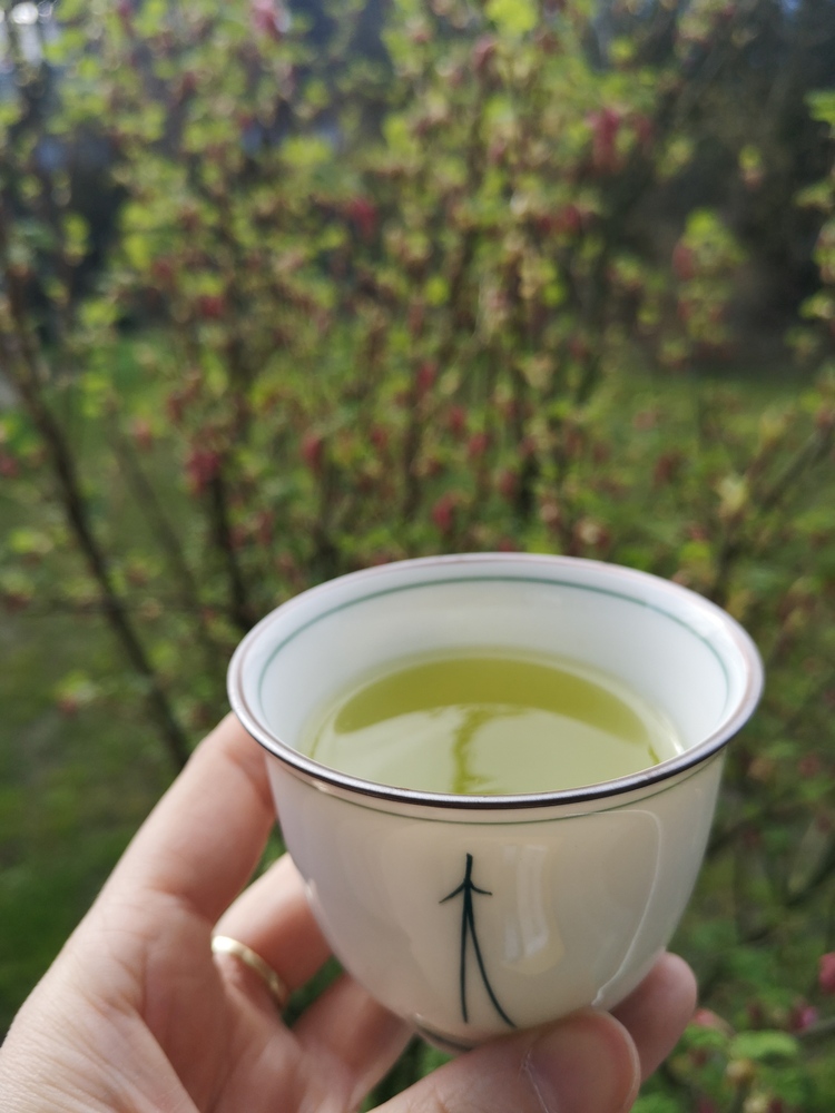 Gyokuro Tassenfarbe